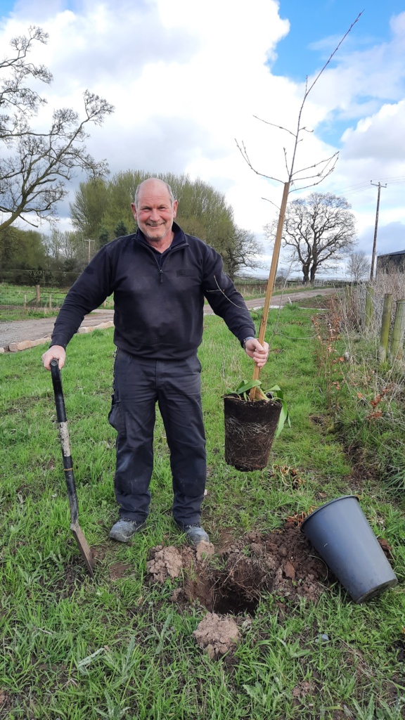 Dave Hotchkiss planting